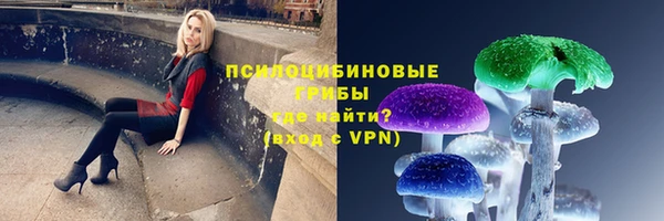 винт Елабуга